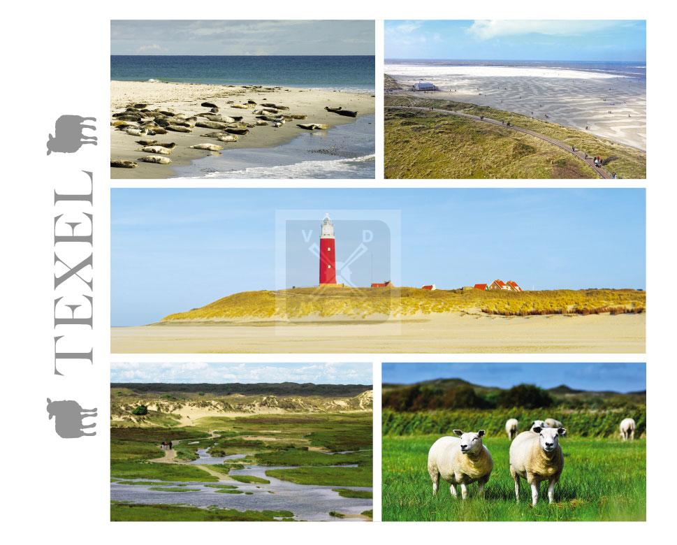 Hello Cards Texel