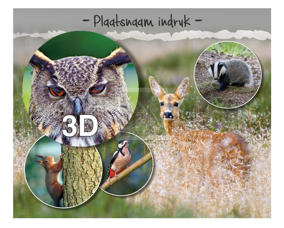 3d Hello Cards Indruk Natuur