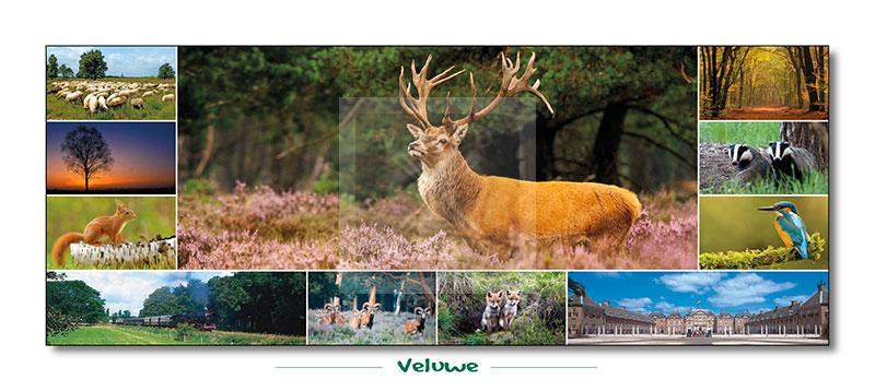 Panoramakaart Veluwe
